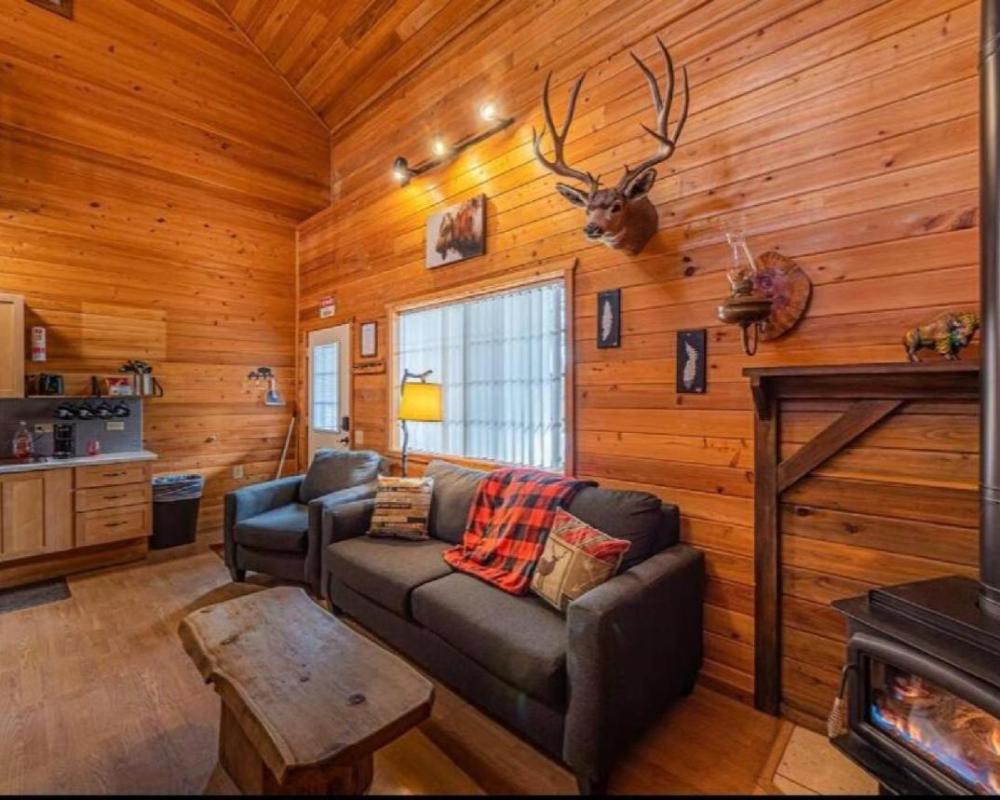 Cabin #1 Buffalo Herd -Pet Friendly - Sleeps 6 - Playground & Game Room