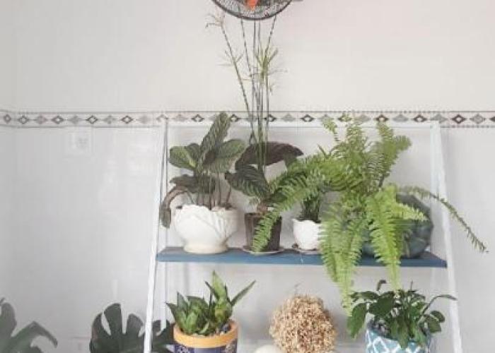 Ánh Dương Homestay - Coastal stop