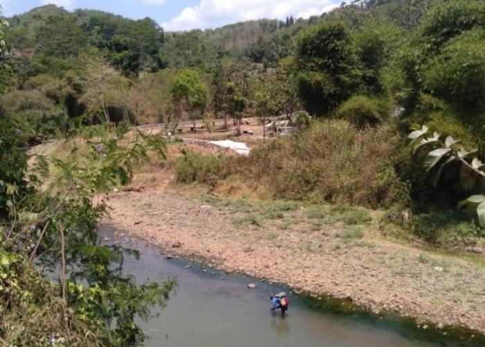 Delta Island Camping Ground