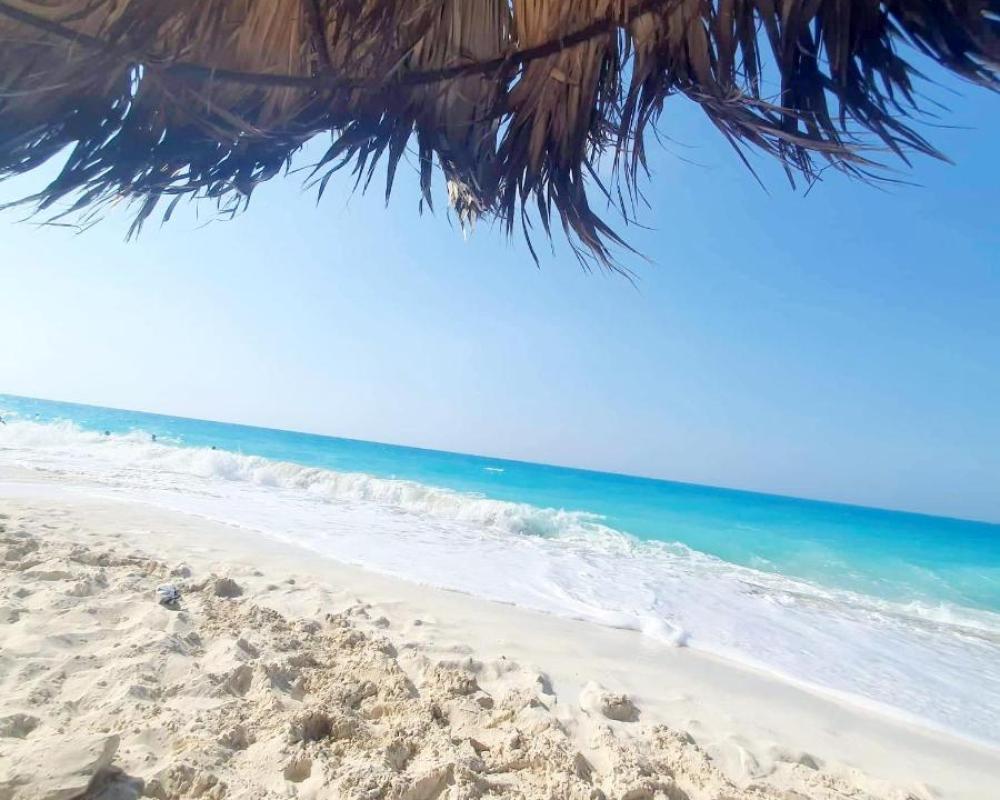 фото Chalet 3 bedrooms 2 toilets lotus north cost stand alone 3 Ac 2 stand fan families are preferred