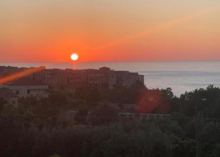 Aurantia - Mediterranean Tale
