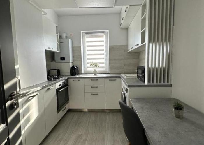 Cozy Holidays in Center of Suceava Esplanada