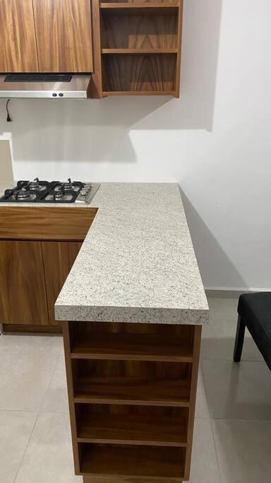 Moderno Departamento Paseo la Cortadura en Tampico