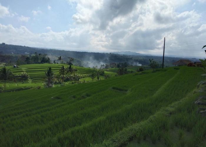 Trinadhi Homestay