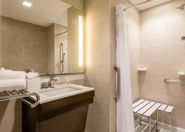 Holiday Inn Brooklyn Downtown by IHG