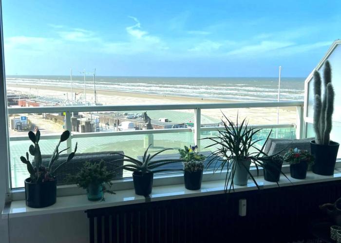 Apartment Fleurette