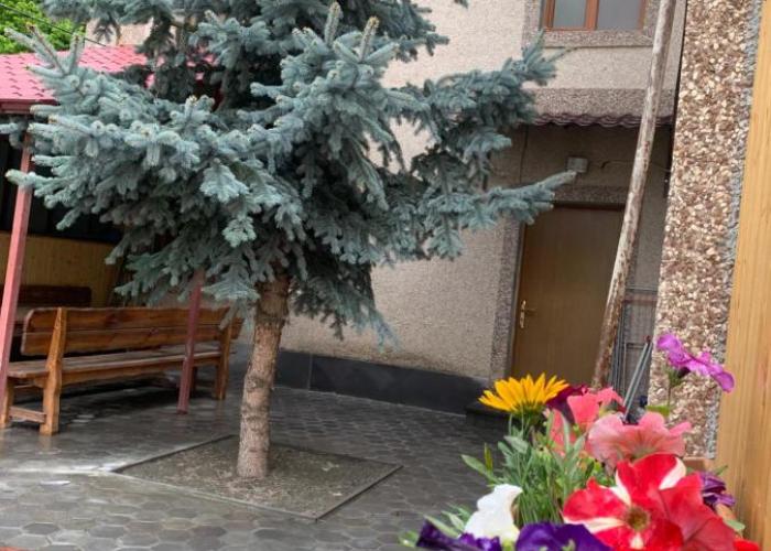 Tsaghkadzor Villa