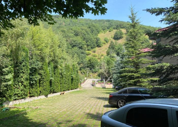 Tsaghkadzor Villa