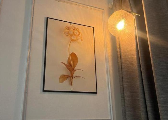 VangVieng Crystal Boutique Hotel
