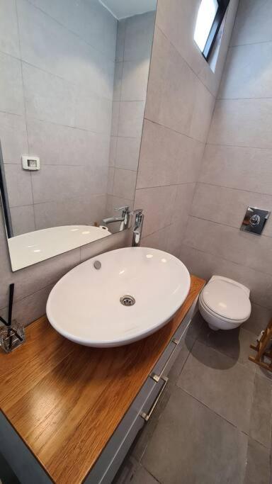Bright Studio in Shapira