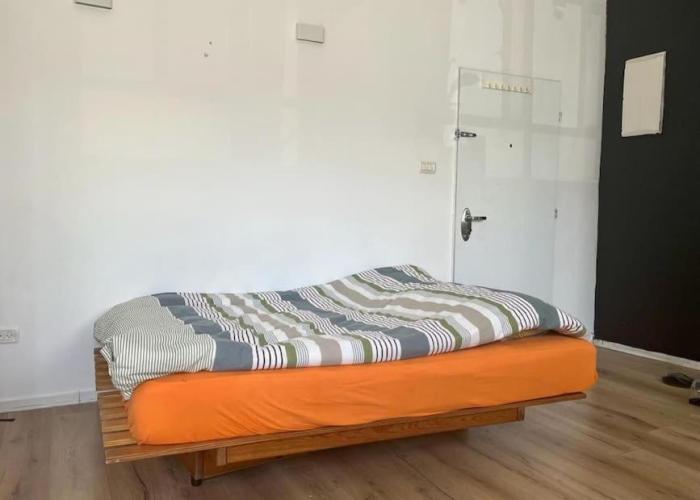 Bright Studio in Shapira