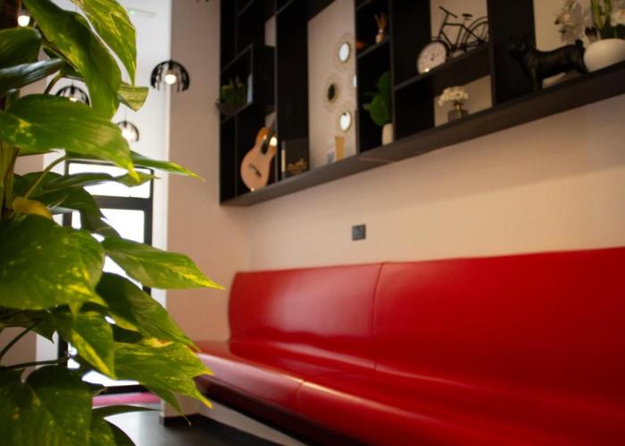 Citizen Suites
