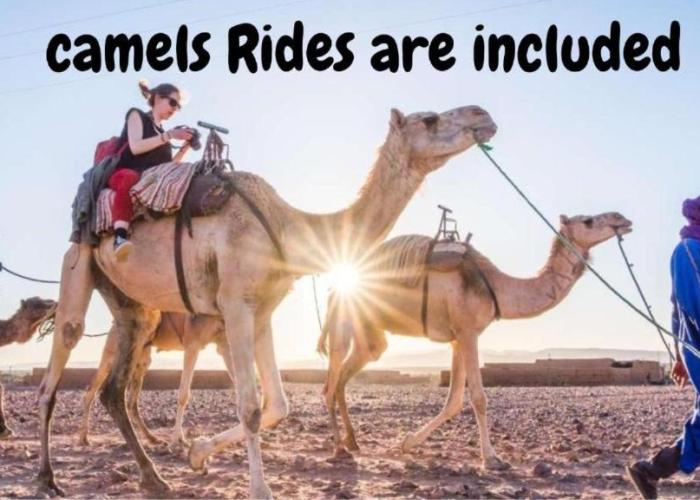 Desert Camp in Zagora - Camel ride - Easy & Affordable Stays