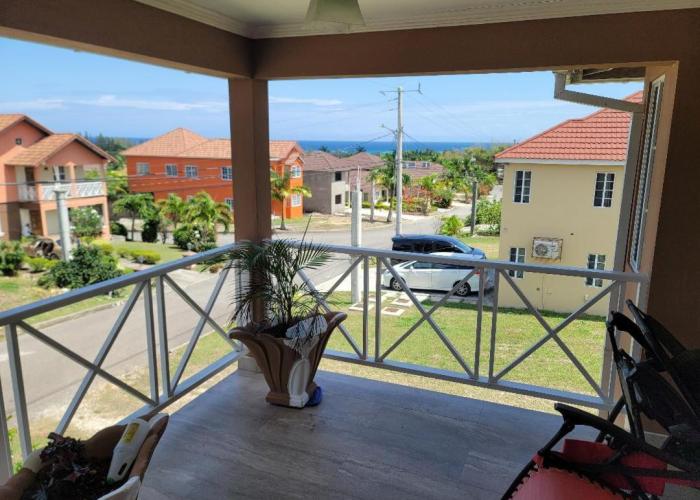House with a View