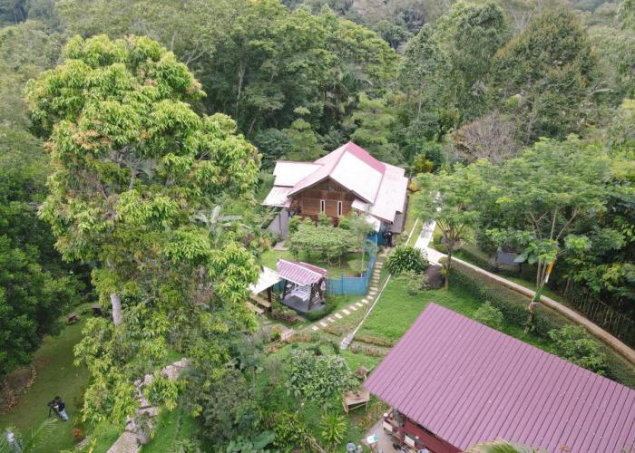 Albatros Toraja Green Resort