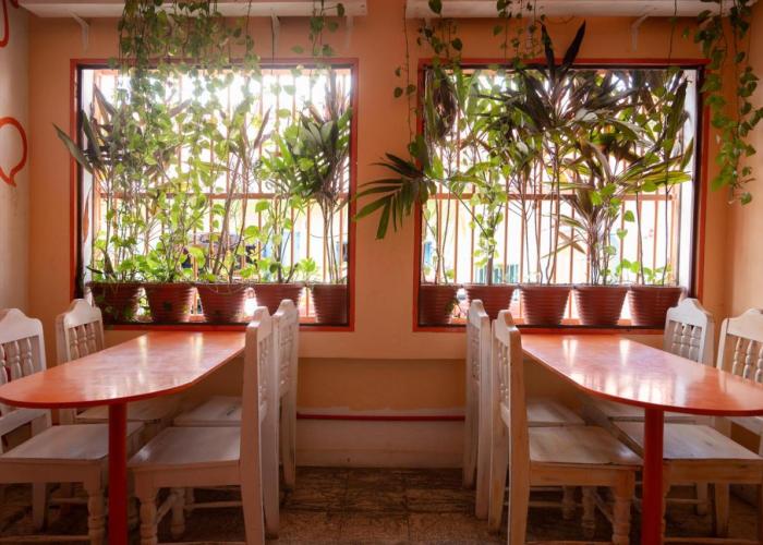 Macarena Hostel