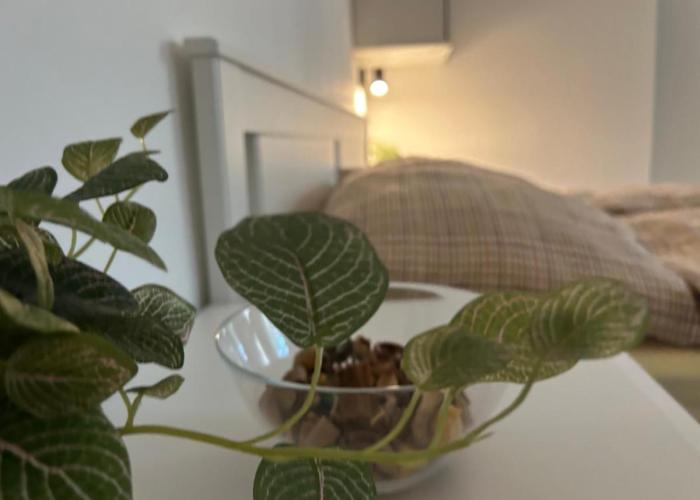 R59 Apartman with free parking