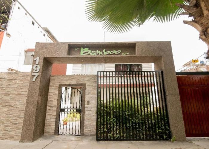 Nuevo Bamboo