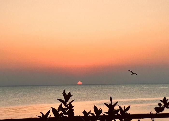 Dimora Alba sul Mare