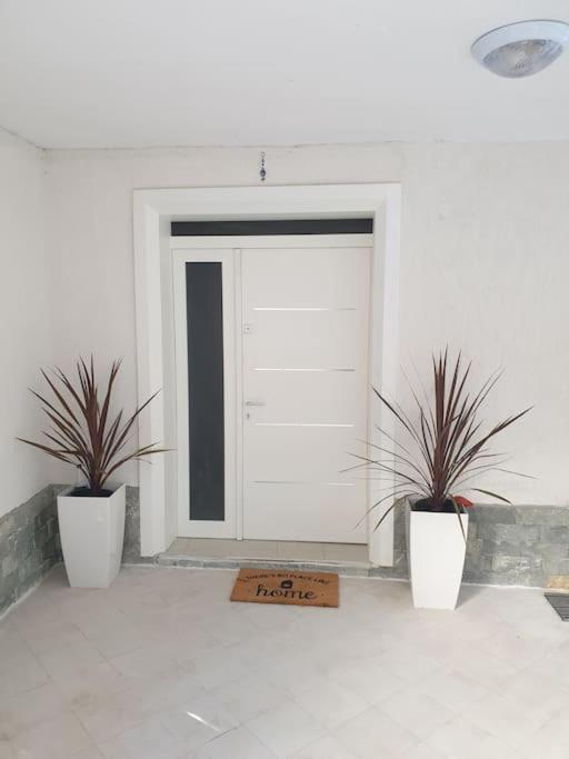 Shkodra 27 center house