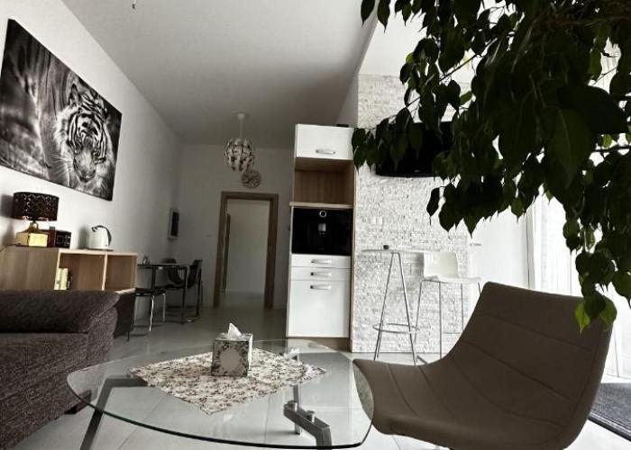 Apartmán Lodenica