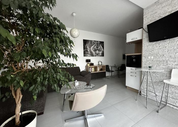 Apartmán Lodenica