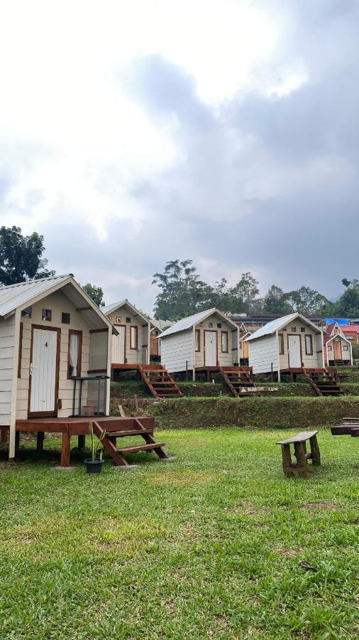 фото SUWON CAMP