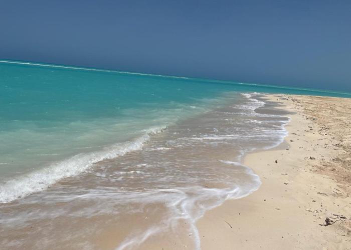 Tolip Resort Sunrays New- Alamein