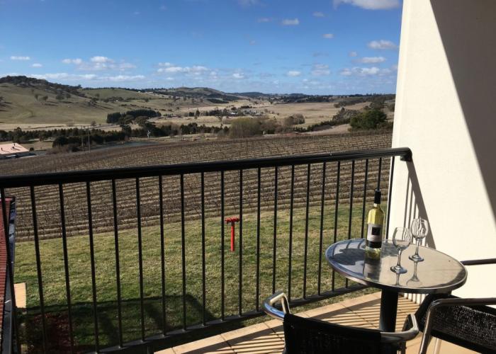 Turners Vineyard