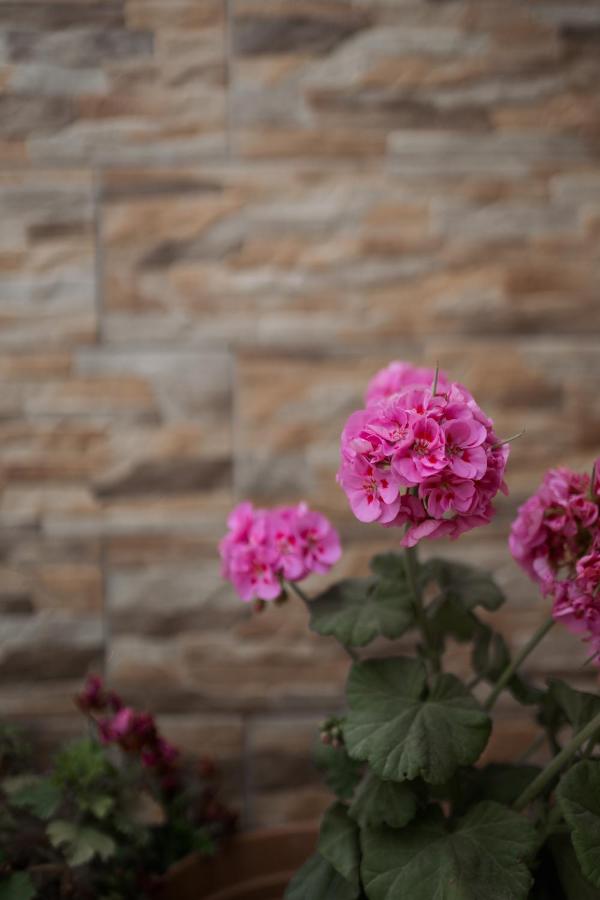 фото Stefaneli Studios