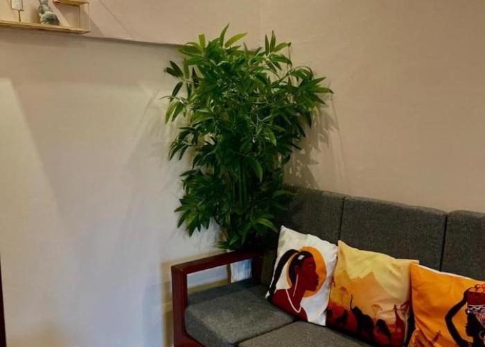 AS Guest House