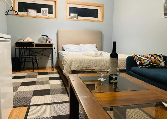 Cozy Blue Apartment