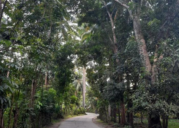 Stunning 1-Bed House in zamboanga