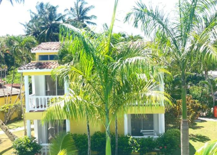 Palms Lounge Cabarete