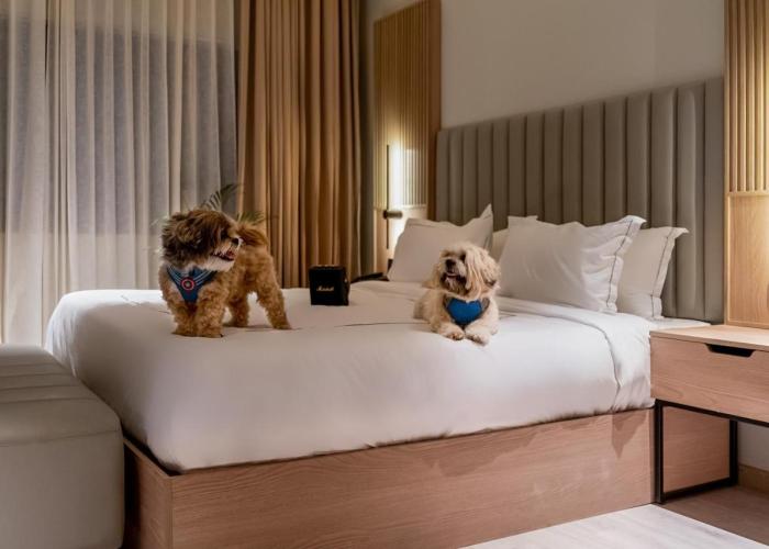 Downtown Prime - A Boutique Hotel Udaipur