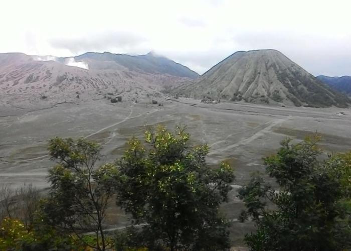 Mentigen Homestay