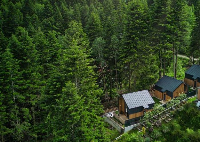 Norway Cabins