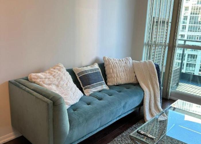 Lakeview Condo in Downtown with Free Parking.