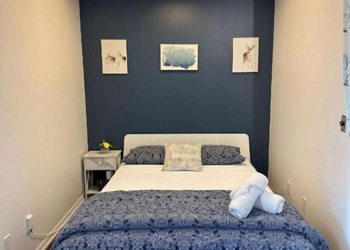 Lakeview Condo in Downtown with Free Parking.