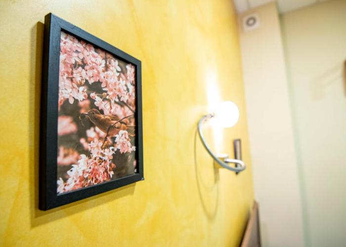 Comfort & Cozy Apartment in Sofia Center