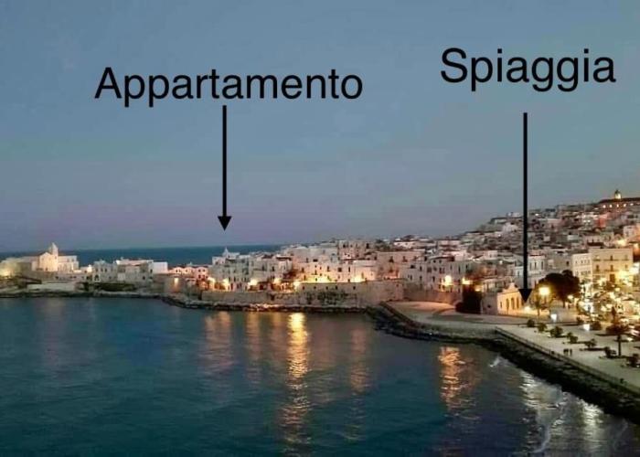 Cozy flat by the sea in the Old Town