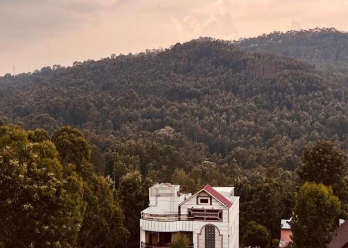 Forest View Resort
