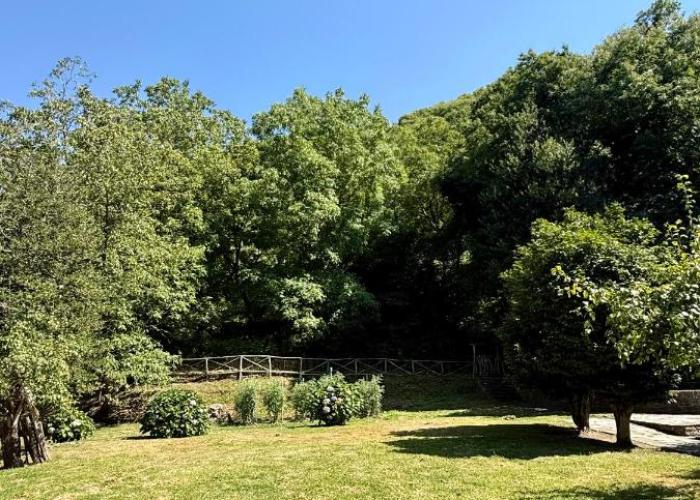 The Cottage in the Trees
