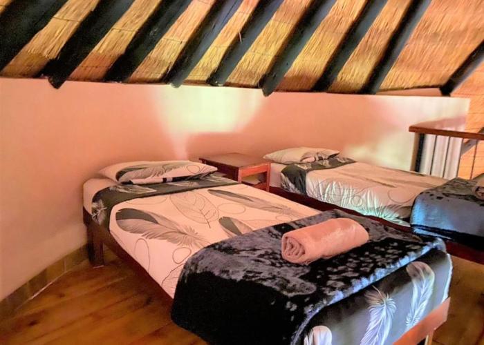Family Lodge in Natural African Bush - 2115