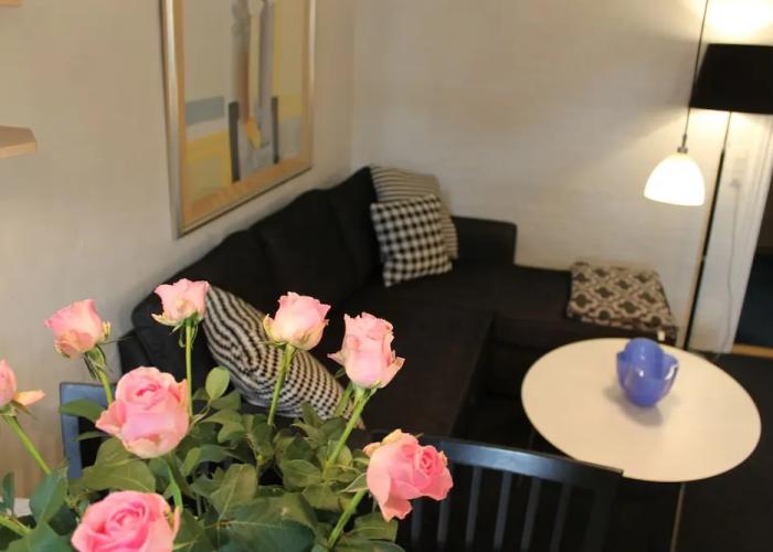 Odense Apartments