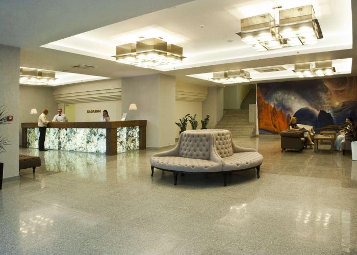 Hotel Gagarinn
