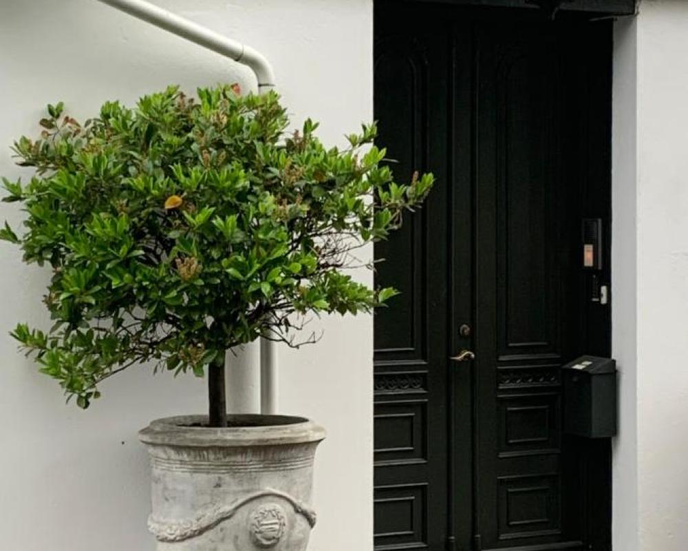 фото Villa Eckhoff