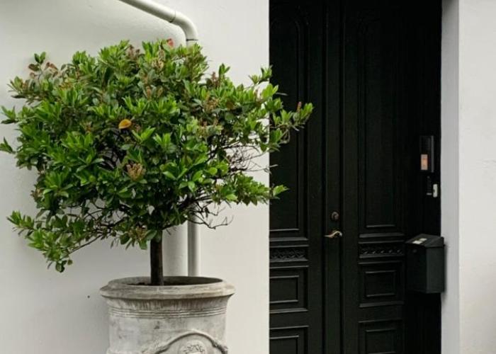 Villa Eckhoff