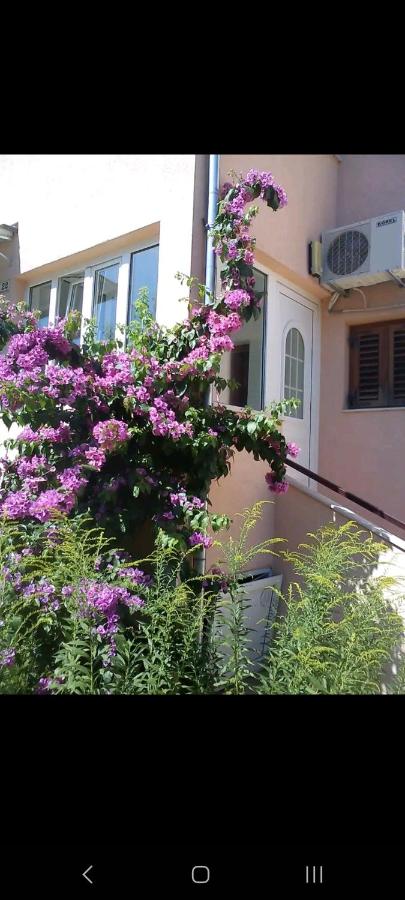Apartment Jasna