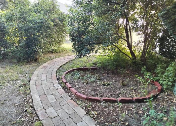 Garden in the center